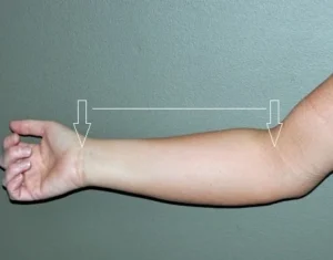 how to measure your forearm